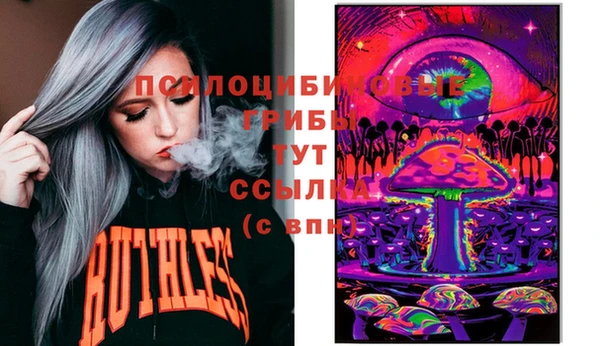 марки lsd Заводоуковск