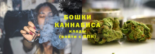 прущие грибы Заволжье