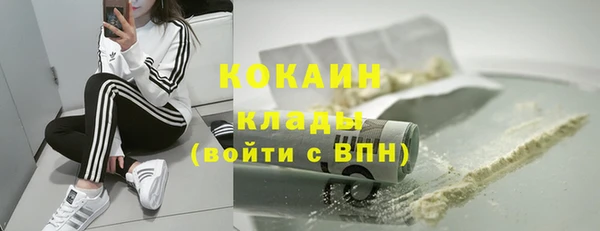 прущие грибы Заволжье