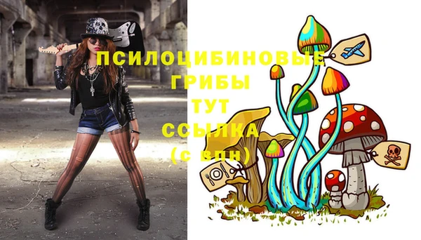 марки lsd Заводоуковск