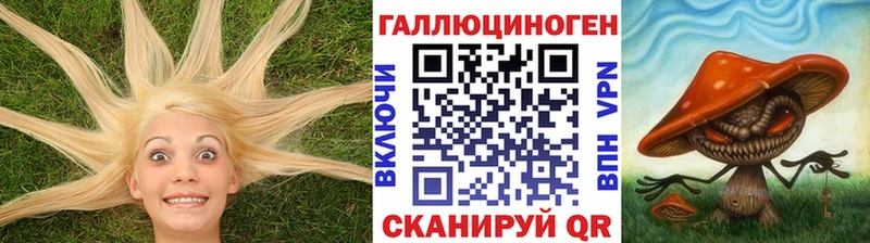МЕГА маркетплейс  Майкоп  Галлюциногенные грибы MAGIC MUSHROOMS  купить  